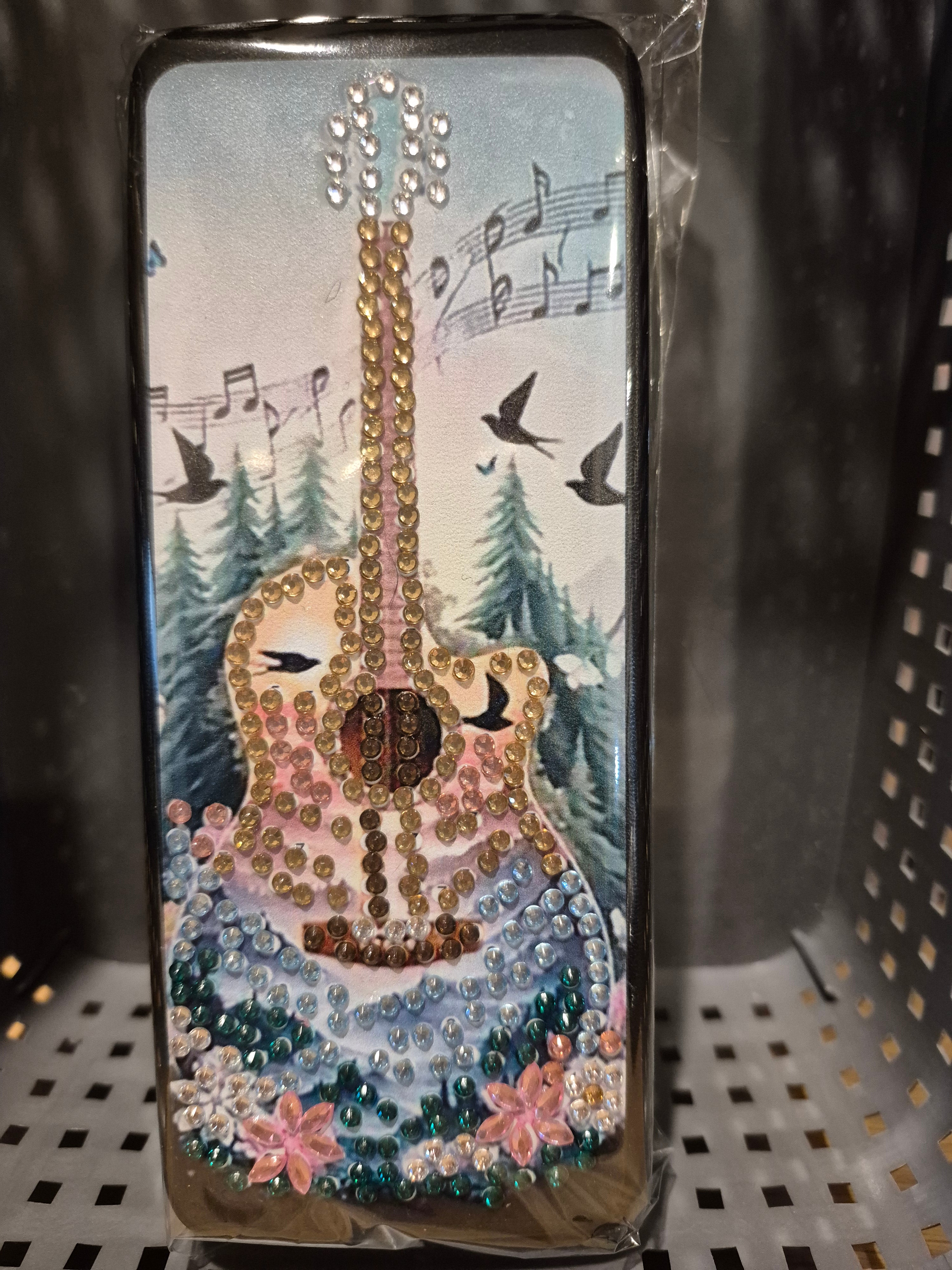 guitar glasses case Seahorse Creations AU