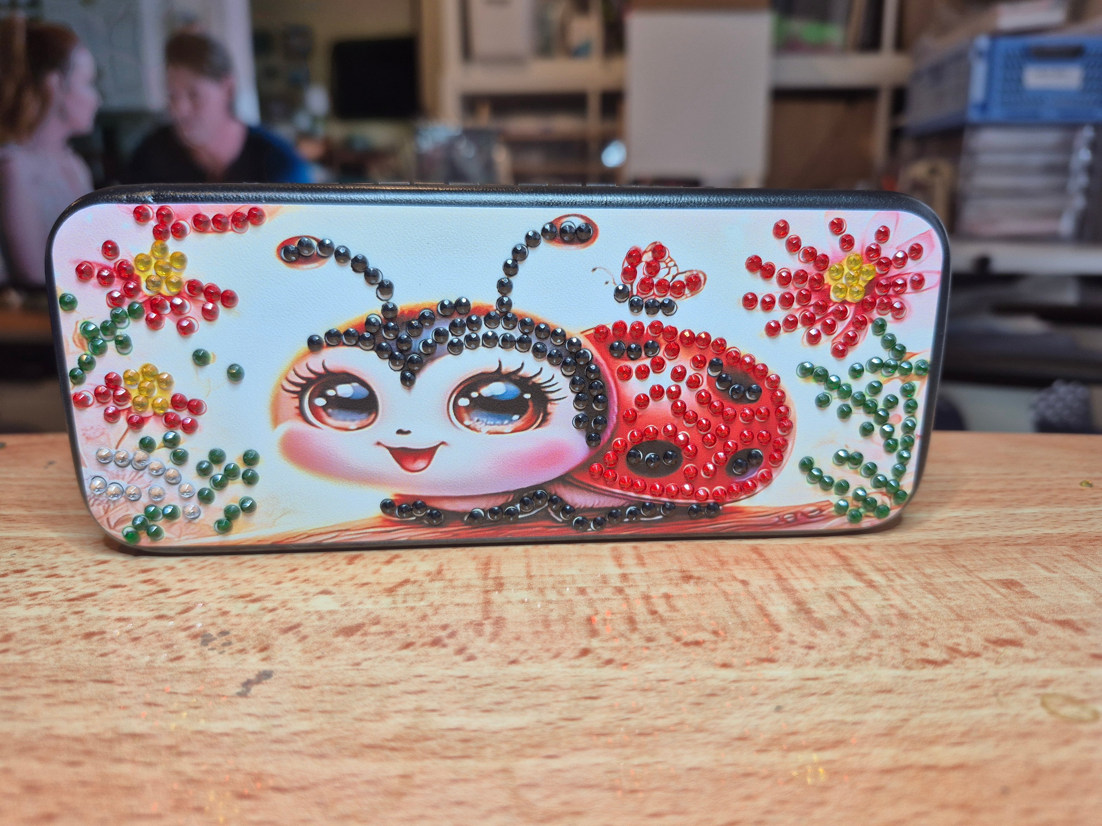 glasses case - ladybug Seahorse Creations AU